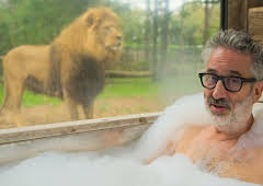 New: David Baddiel: Cat Man