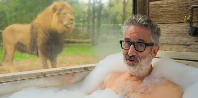 4:05 AM: David Baddiel: Cat Man | 4 Seven | 2/1 2026