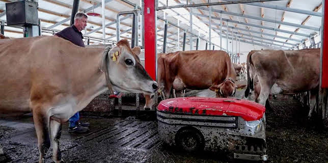 04:10: Die Nordreportage: Roboter im Kuhstall | NDR Fernsehen | 1/26 2026