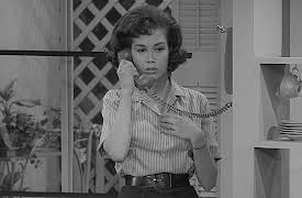 The Dick Van Dyke Show: Season 1: The Sick Boy and the Sitter