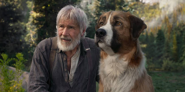 15:00: Ruf der Wildnis | VOX | 2/8 2026