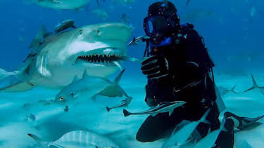 6:55 PM: Shark Bites (S1) | CBBC | 7/7 2025