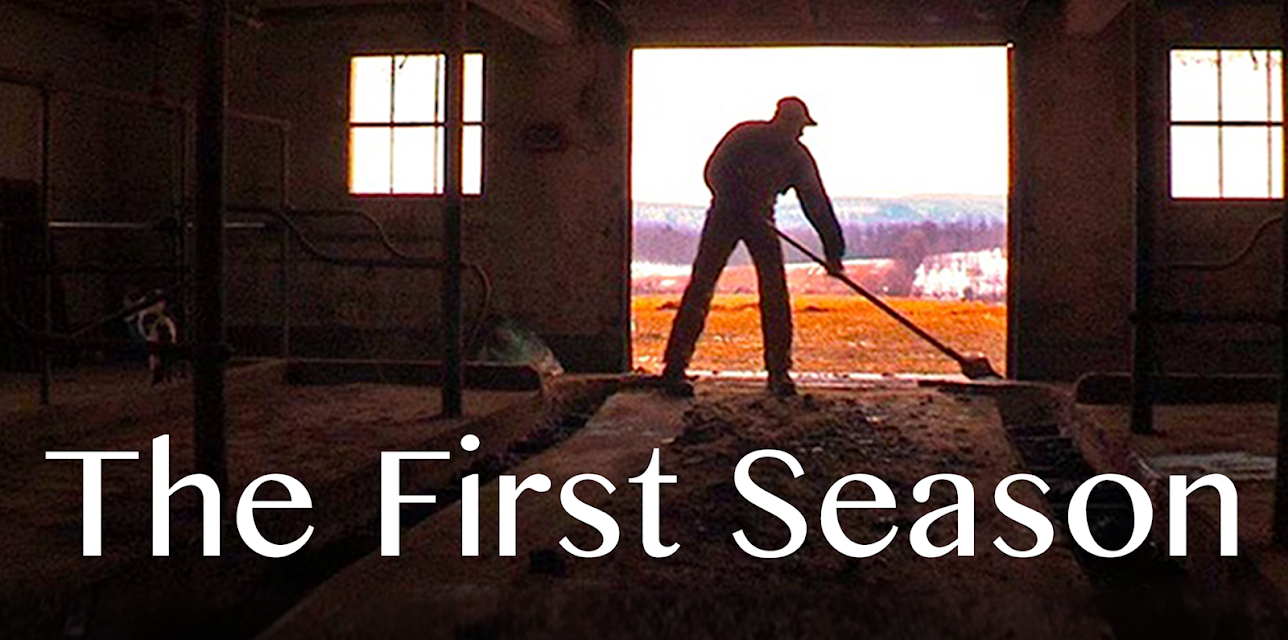 The First Season (2012)