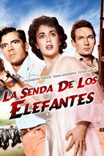 14:45: La senda de los elefantes | 13 TV | 6/25 2026
