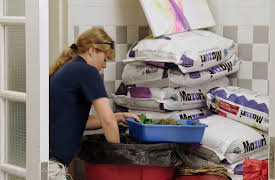 Let's Go to Work: Zookeeper