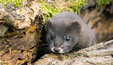 Abenteuer Wildnis