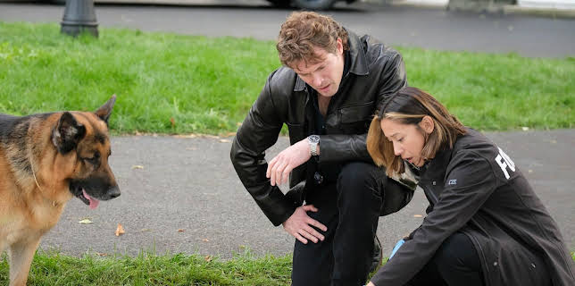 20:00: Hudson & Rex | TV 2 Livsstil | 11/12 2025