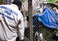 Animal Cops Philadelphia