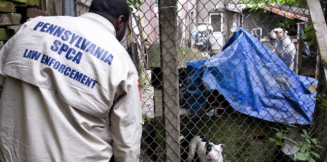 10:20: Animal Cops Philadelphia (S12 E5) (S12) | Animal Planet | 3/2 2026