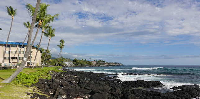 18:00: My Lottery Dream Home (S15 E1) (S15) | Kanal 11 | 4/2 2026