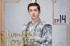 The Twin Flower Legend: EP 14