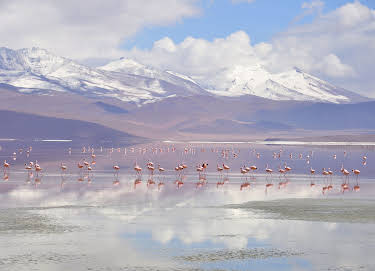 04:20: Panamericana (6/7) | 3SAT | 5/4 2026