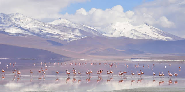 16:40: Panamericana (6/7) | 3SAT | 1/29 2026