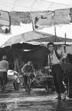 Stathis Giallelis as 