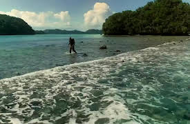 Ed Stafford: First Man Out Season 1: Palau