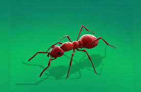 Sid the Science Kid: Encyclopedia of Discovery, Volume 1: Ants