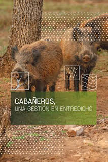 09:00: Cabañeros, una gestión en entredicho | Caza y Pesca | 3/9 2026