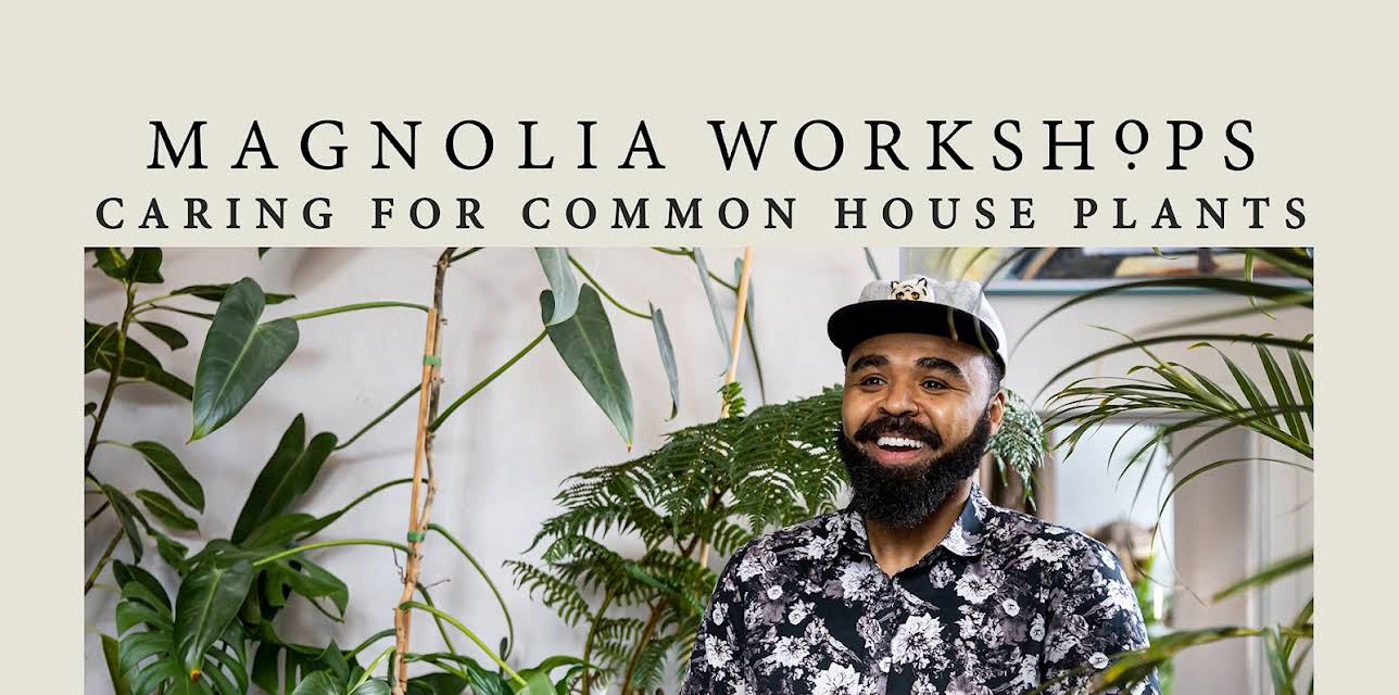 Magnolia Workshops: Caring For Common Houseplants