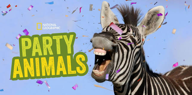 Party Animals