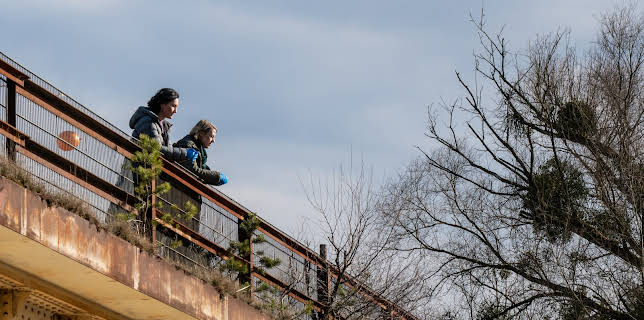 18:00: SOKO Potsdam | ZDF | 1/19 2026