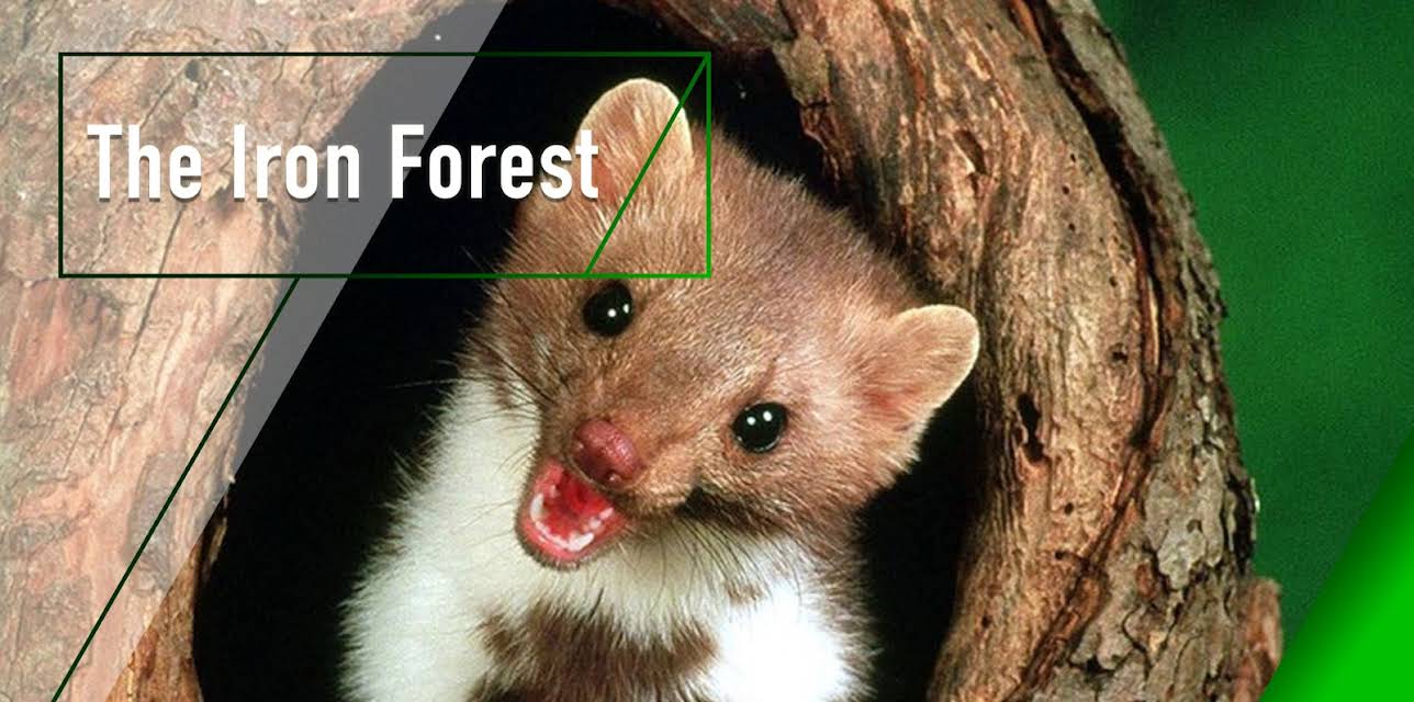 The Iron Forest (2008)