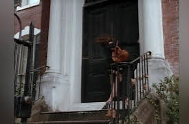 American Gothic Season 1: Ring of Fire