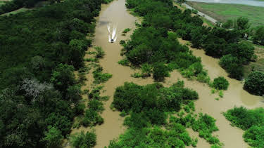 21:00: Giganten unter Wasser - Riesenfischen auf der Spur | Kabel Eins Doku | 10/22 2025