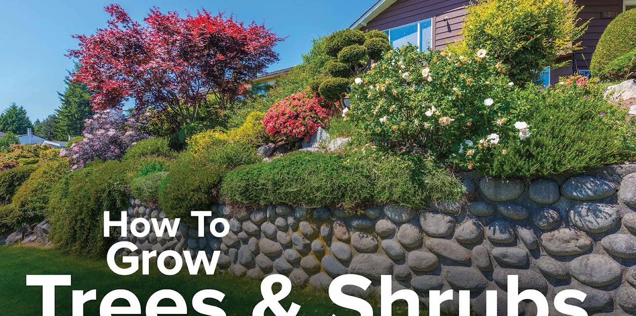 How to Grow Anything: Make Your Trees and Shrubs Thrive