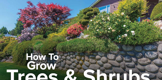 How to Grow Anything: Make Your Trees and Shrubs Thrive