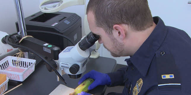 12:05: Border Patrol USA - Einsatz an der Grenze | ProSieben Maxx | 1/9 2026