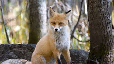 13:10: Stadt Land Kunst | Arte | 4/22 2026