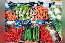 The Great Tours: France through the Ages: Avignon: From Popes to Produce Stands