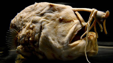 17:15: The Proof is Out There - Auf den Spuren des Unerklärlichen | Kabel Eins Doku | 3/29 2026