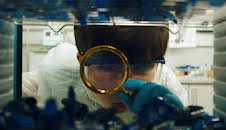 Die Pfefferkörner (280)