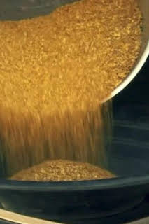 10:30: La fiebre del oro: Eclipsados | Discovery | 4/8 2026