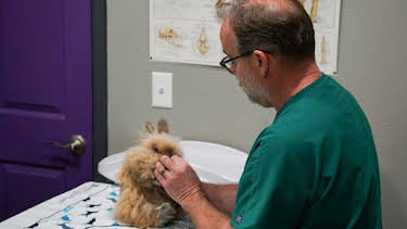 2:00 PM: Dr. Jeff: Rocky Mountain Vet (S6) | Discovery Channel | 9/4 2026