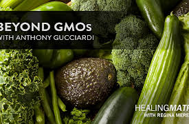 Healing Matrix: Beyond GMOs with Anthony Gucciardi