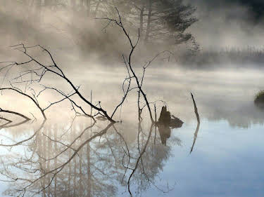 06:30: Der Neckar | SWR Fernsehen RP | 5/1 2026