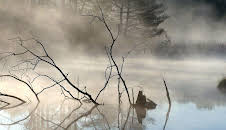 Der Neckar