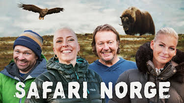 00:45: Safari Norge: Selda og Norges pingviner | NRK 1 | 8/22 2026