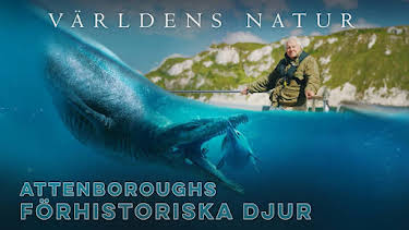 20:10: Attenboroughs förhistoriska djur | Kunskapskanalen | 9/30 2026