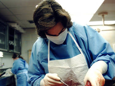 03:15: Dr. G - Beruf: Gerichtsmedizinerin | Sat1 Gold | 4/27 2026