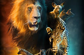 Savage Kingdom: Episode 2