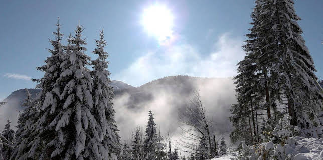 17:30: Weihnachten in den steirischen Alpen | ARD Alpha | 12/19 2025