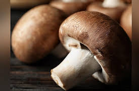 The Scientific Guide to Health and Happiness: Mushrooms: A Superfood for Well-Being