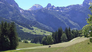 14:45: Almauftrieb im Salzburger Land | ARD Alpha | 6/28 2026