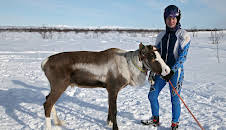 Die Rentierprinzessin in Norwegen