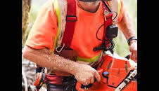 Los últimos leñadores: Socavado