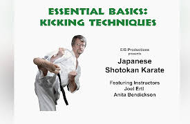 Shotokan Karate: Essential Basics, Volume One: Essential Shotokan Basics: Kicking Techniques