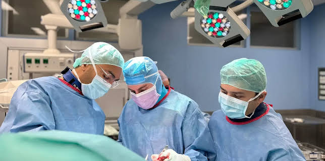 14:00: Die Nordreportage | Radio Bremen | 1/30 2026